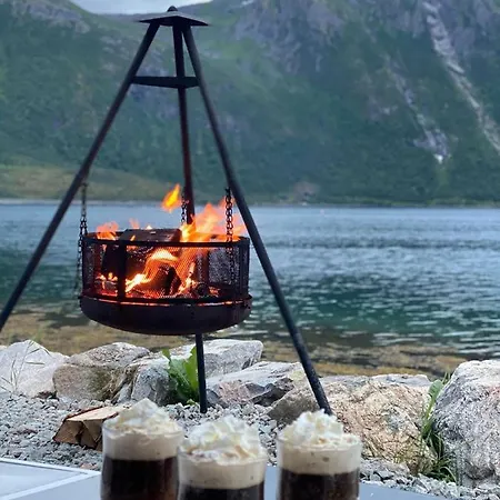 Apartment Coldvinstua Sortland